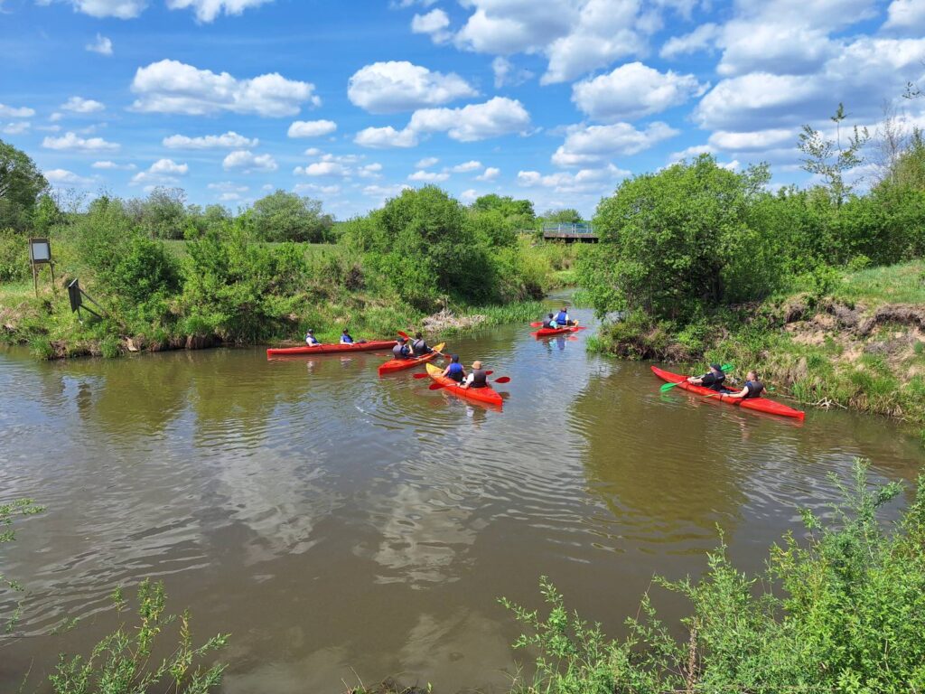 Spływ kajakowy rzeką Narew