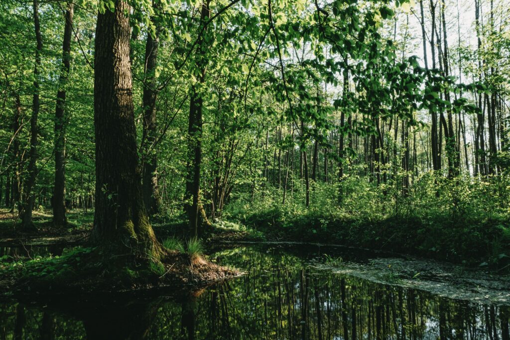 Podlasie, wielokulturowe serce północno-wschodniej Polski
